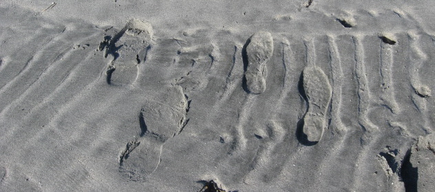 footprints.jpg